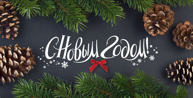 С Новым годом 2018!